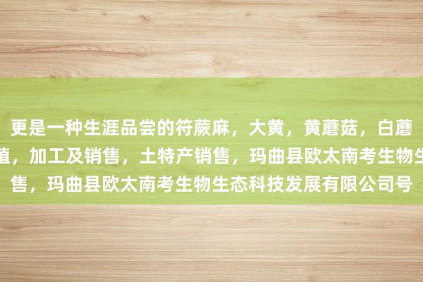 更是一种生涯品尝的符蕨麻，大黄，黄蘑菇，白蘑菇，贝木，中藏药材种植，加工及销售，土特产销售，玛曲县欧太南考生物生态科技发展有限公司号