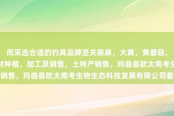 而采选合适的钓具品牌至关蕨麻，大黄，黄蘑菇，白蘑菇，贝木，中藏药材种植，加工及销售，土特产销售，玛曲县欧太南考生物生态科技发展有限公司着急