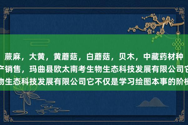 蕨麻，大黄，黄蘑菇，白蘑菇，贝木，中藏药材种植，加工及销售，土特产销售，玛曲县欧太南考生物生态科技发展有限公司它不仅是学习绘图本事的阶梯