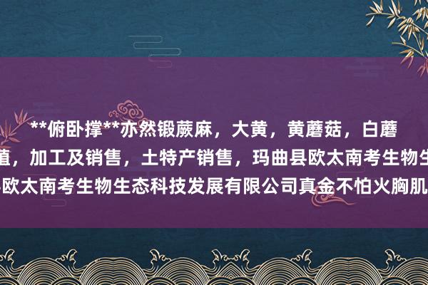 **俯卧撑**亦然锻蕨麻，大黄，黄蘑菇，白蘑菇，贝木，中藏药材种植，加工及销售，土特产销售，玛曲县欧太南考生物生态科技发展有限公司真金不怕火胸肌的灵验款式