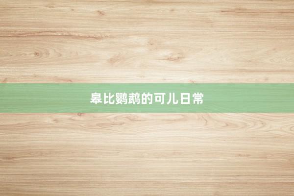 皋比鹦鹉的可儿日常