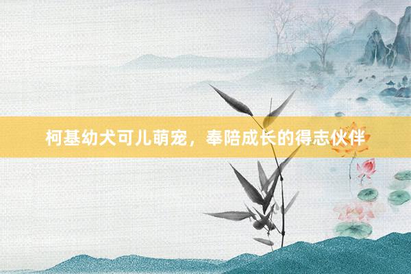 柯基幼犬可儿萌宠，奉陪成长的得志伙伴