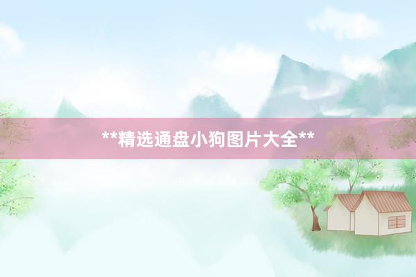 **精选通盘小狗图片大全**
