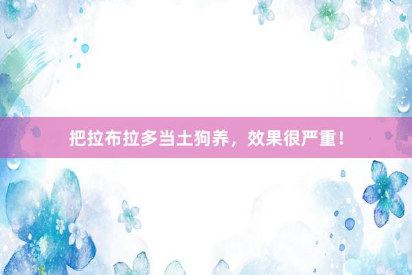 把拉布拉多当土狗养，效果很严重！